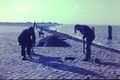 Aufnahme vom 24. Februar 1967.