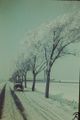 Die verschneite Ziegeleistraße mit der Ziegelei im Hintergrund am 24. Dezember 1963.