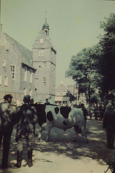 Datei:Am Markt Marktplatz Kreistierschau 30 06 1961 04.JPG