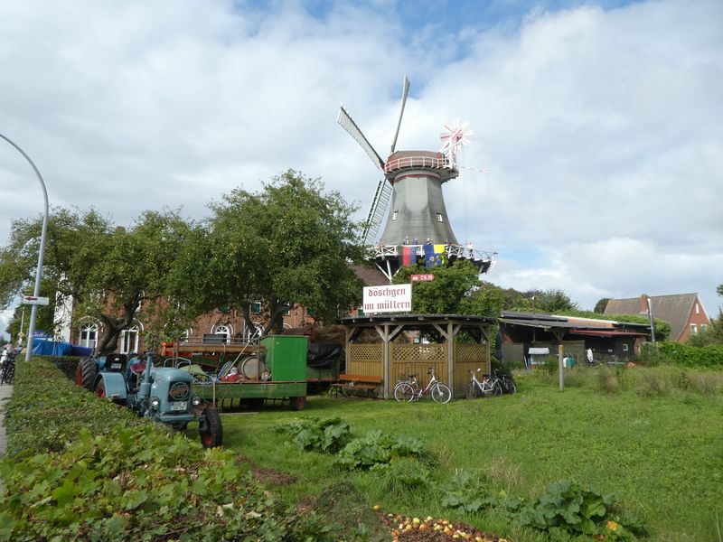 Datei:Alleestraße - 07092019.jpg