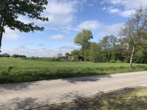 Ekeler Weg 28052021 03.jpg