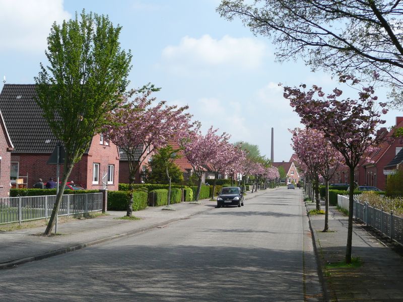 Datei:Knyphausenstraße - Blick in die Straße - 02 05 2008.jpg