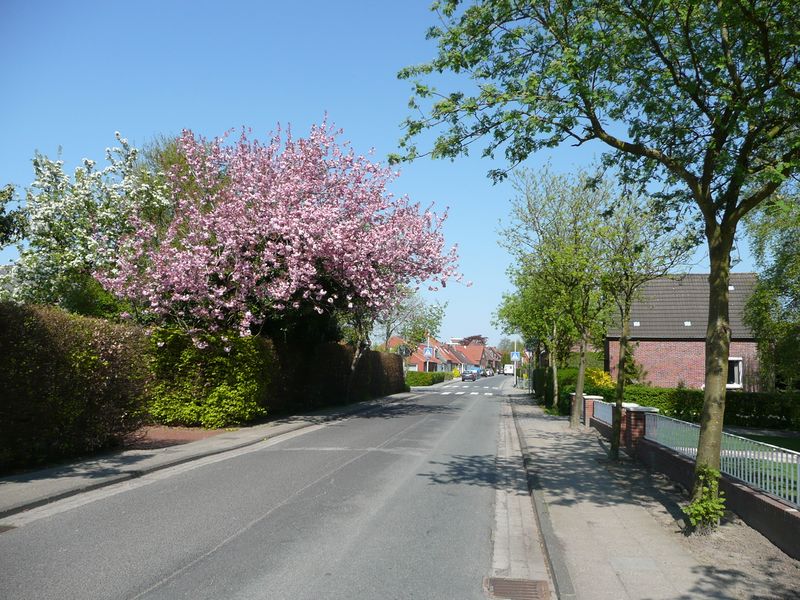 Datei:An der Welle - 19042009.jpg