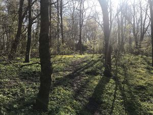 Hoog Ses Muellberg 18042021 09.jpg