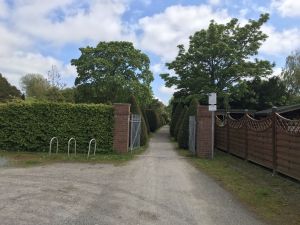 Neuer Friedhof 15052021 03.jpg