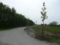 Blick in die Straße - Aufnahme vom 15. Mai 2010.