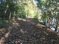 Der westliche Teil mit Blick zur Hexenkolkbrücke - Aufnahme vom 23. Oktober 2021.