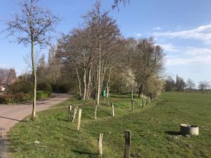 Hoog Ses Muellberg 18042021 02.jpg