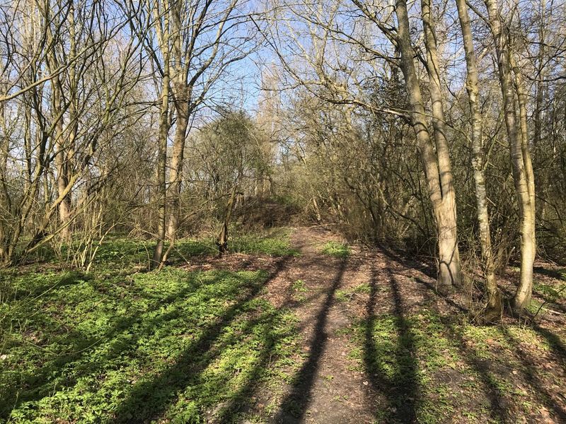 Datei:Hoog Ses Muellberg 18042021 05.jpg