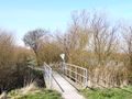 Blick auf die alte Brücke - Aufnahme vom 11. März 2007.