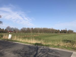 Hoog Ses Muellberg 18042021 01.jpg