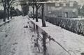 Ansicht von der Baumstraße aus in Richtung An der Gartenallee (vermutlich um 1938).