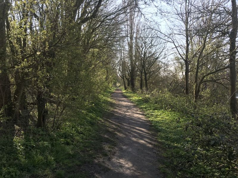 Datei:Hoog Ses Muellberg 18042021 08.jpg