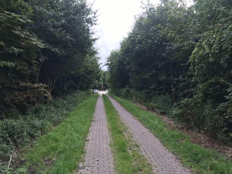 Datei:Wurzeldeich 28 08 2021 02.jpg