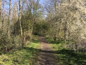 Hoog Ses Muellberg 18042021 03.jpg