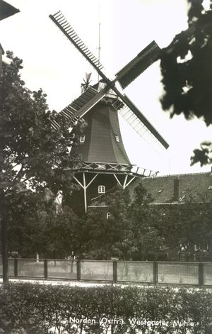 Alleestraße Westgaster Mühle unbekanntes Datum 02.jpg