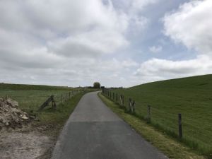 Buscherpolder Westermarscher Seedeich Suederdeichstrasse 13052021 01.jpg