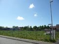 Freie Fläche, nach Abriss Gebäude Nr. 7 - Aufnahme vom 7. Juni 2015.