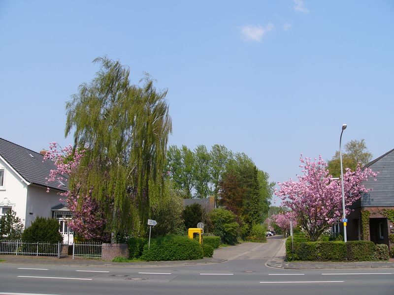 Datei:Am Sportplatz - 07052006.jpg