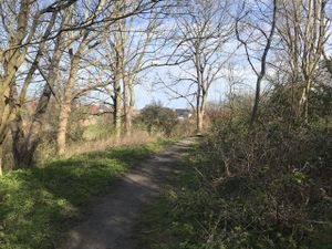 Hoog Ses Muellberg 18042021 07.jpg