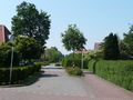 Blick in die Straße - Aufnahme vom 14. Juni 2009.