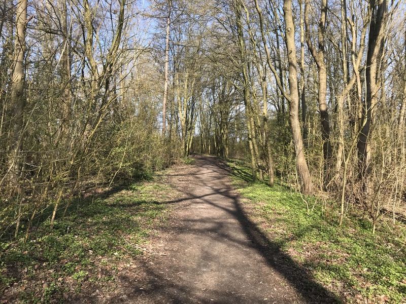 Datei:Hoog Ses Muellberg 18042021 06.jpg