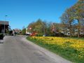 Blick in Richtung Alleestraße - Aufnahme vom 23. April 2004.