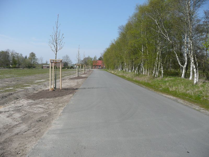 Datei:Muskerei - 25 04 2010.jpg