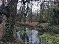 Blick von der Gartenallee auf den alten Burggraben - Aufnahme vom 7. Dezember 2020.