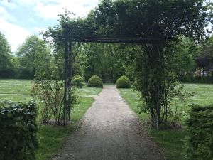 Neuer Friedhof 15052021 01.jpg