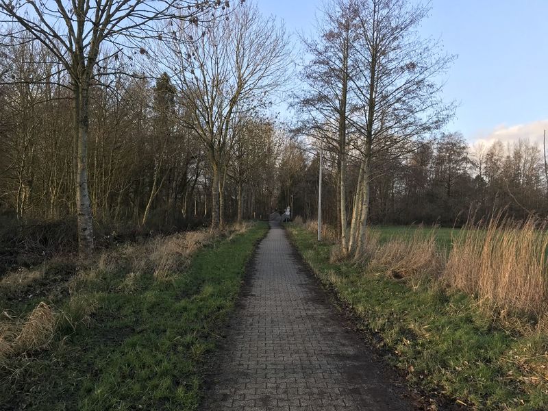 Datei:Zum Hexenkolk 22012021 04.jpg