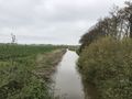 Das Neulander Tief in nördliche Richtung, aufgenommen von der Altendeichsbrücke - Aufnahme vom 13. Mai 2021.