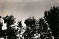 Seit 1900 war der Hof regelmäßig Nistort von Störchen.