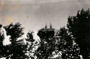 Leegemoorweg Hof Peters Störche 1950 01.JPG