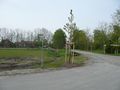 Blick in die Straße - Aufnahme vom 15. Mai 2010.