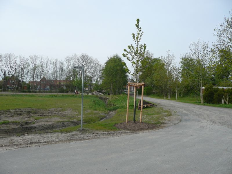 Datei:Muskerei - 15 05 2010 (2).jpg